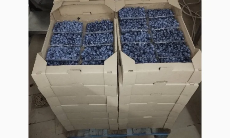 Продам лохину - фото № 1