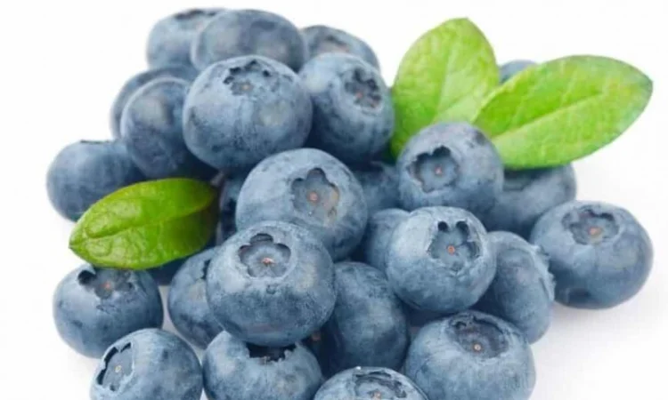 Куплю лохину - фото № 1