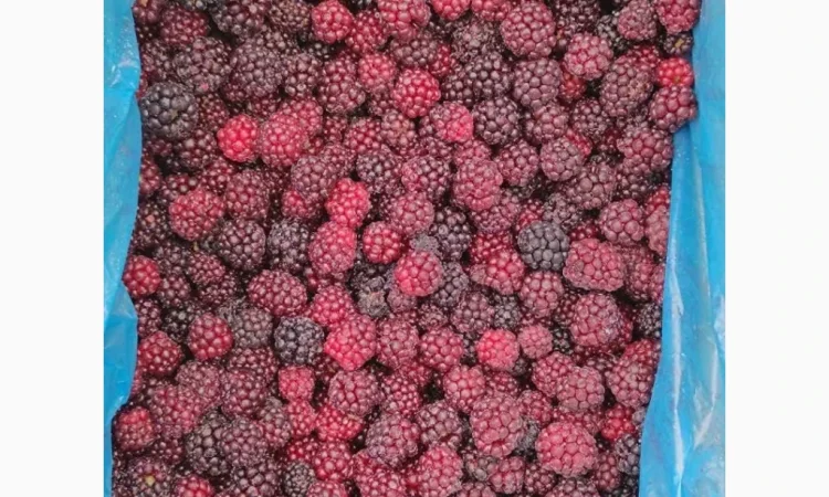 Продам ожину культивовану. Свіжоморожена - фото № 1