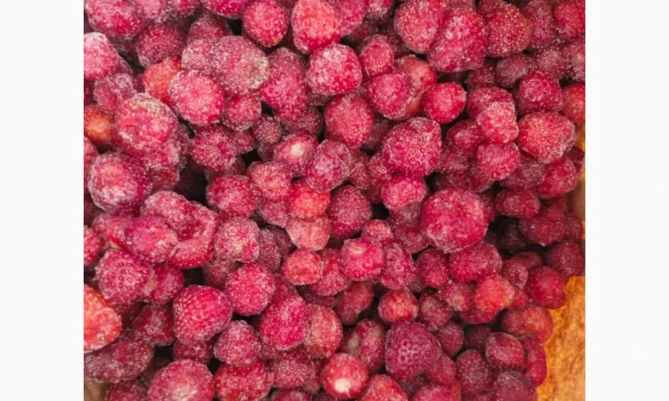 Продам полуницю - фото № 1