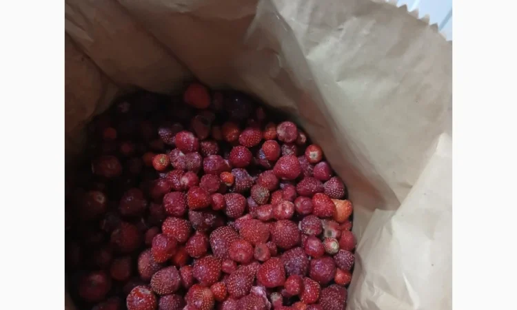 Продам полуницю українську заморожену сезону 2025 - фото № 1