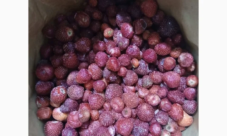 Продам полуницю українську заморожену сезону 2025 - фото № 2