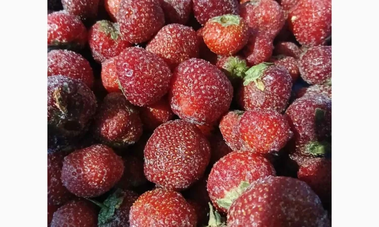 Продам полуницю заморожену з хвостиком - фото № 1