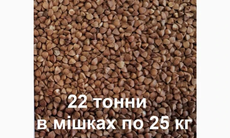 Гречана крупа - фото № 1