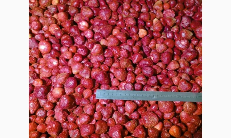 Продам заморожену полуницю - фото № 2