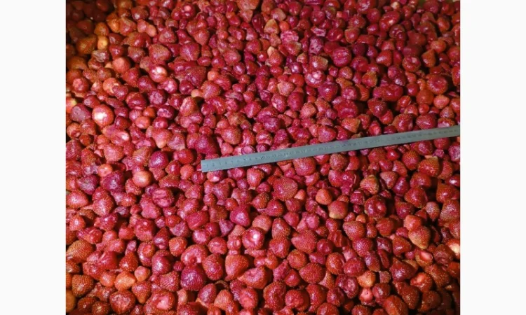 Продам заморожену полуницю - фото № 3