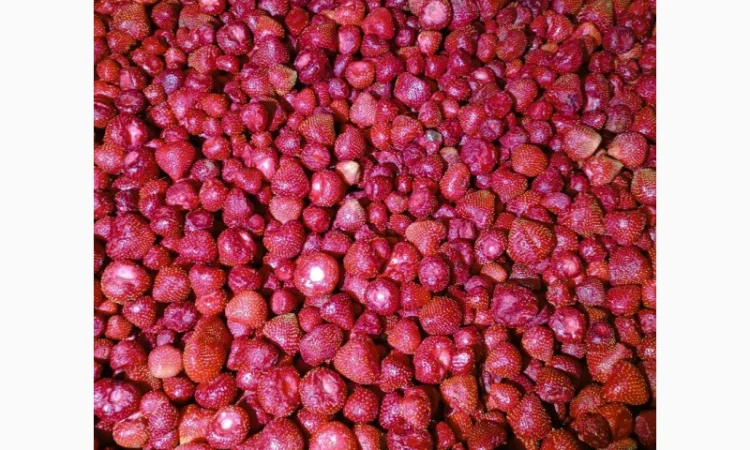 Продам заморожену полуницю - фото № 4