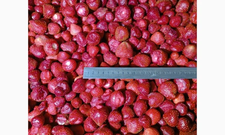 Продам заморожену полуницю - фото № 5