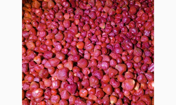 Продам заморожену полуницю - фото № 6