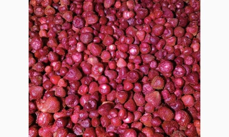 Продам заморожену полуницю - фото № 7