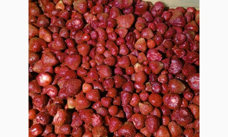 Продам заморожену полуницю - фото № 8