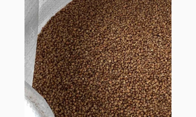 Гречана крупа смажена - фото № 1