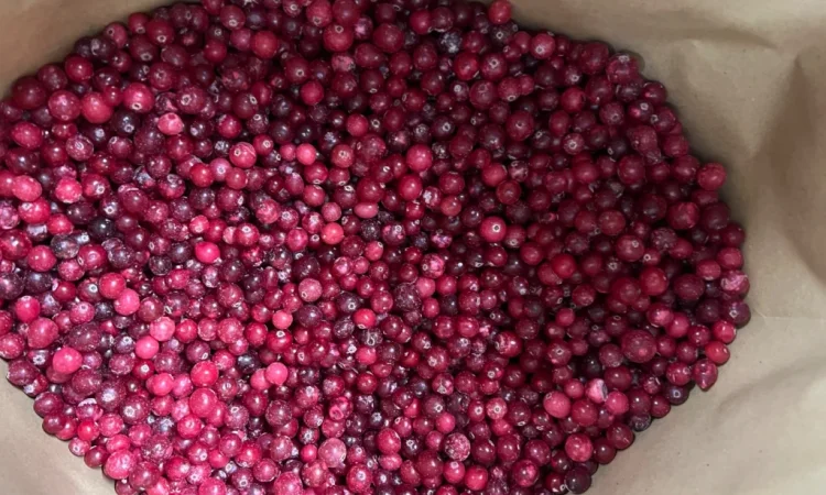 Продам журавлину - фото № 1