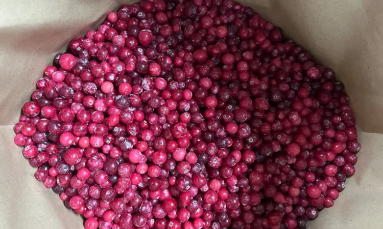 Продам журавлину - фото № 3