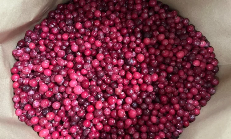 Продам журавлину - фото № 4