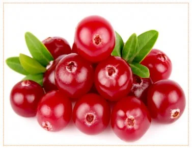 Куплю журавлину - фото № 1