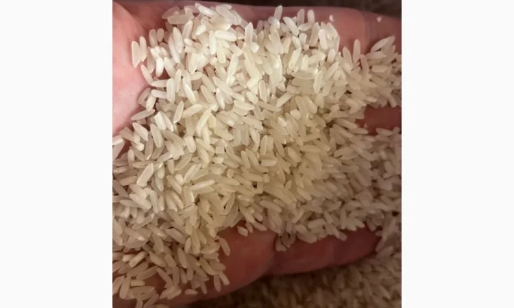 Рис довгий (Пакістан) 5% - фото № 1
