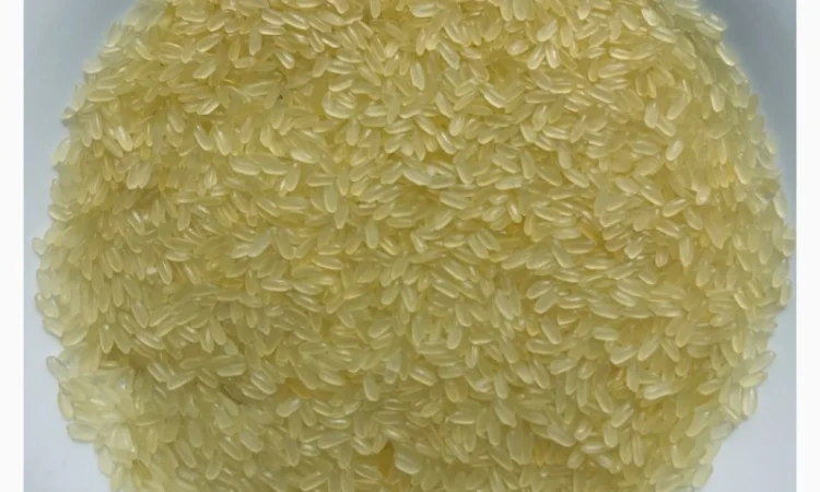 Крупа рис пропарений купити оптом - фото № 1