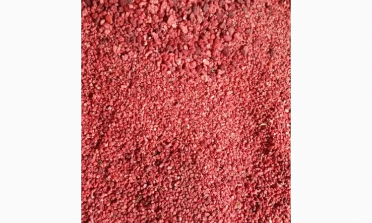 Продам малину Грис - фото № 4