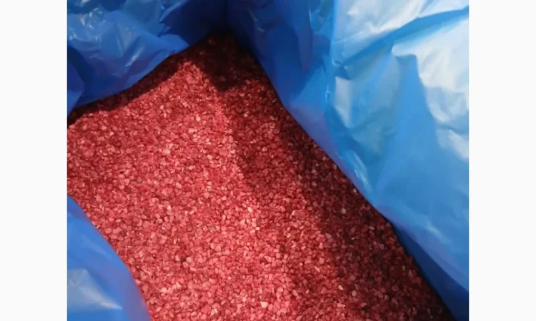 Продам малину Грис - фото № 1