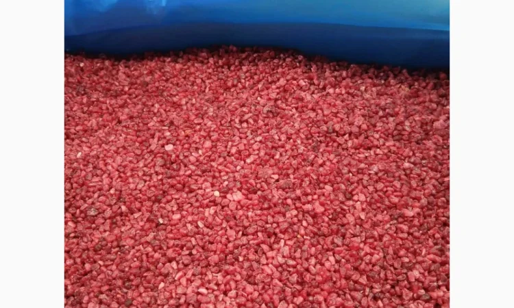 Продам малину Грис - фото № 2