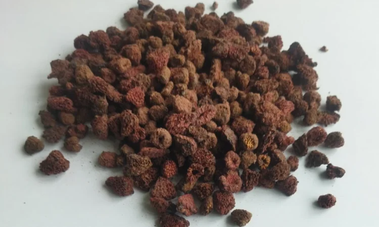 Продам малину сушену - фото № 1