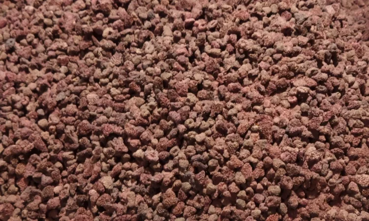 Продам малину сушену - фото № 2