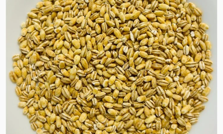 Крупа ячмінна перлова оптом від 5 тонн з доставкою - фото № 1