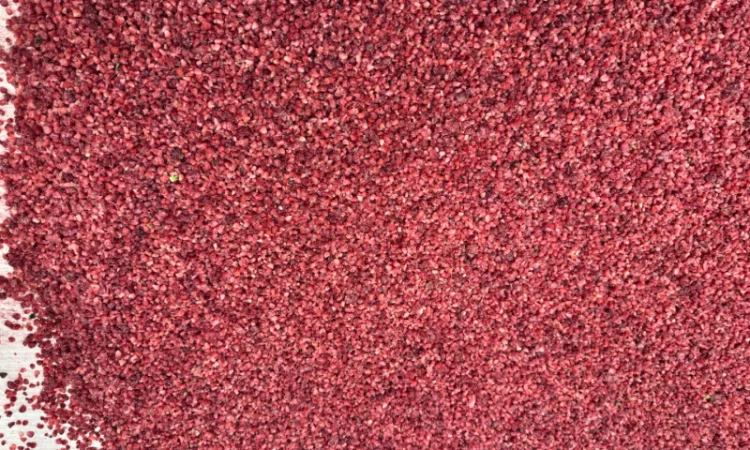 Продается малина сорта Грис - фото № 3