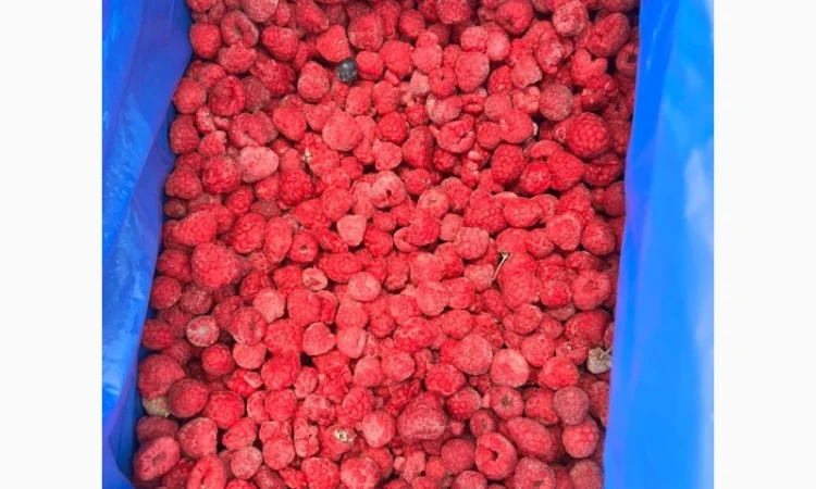 Продам малину 70/30 - фото № 1