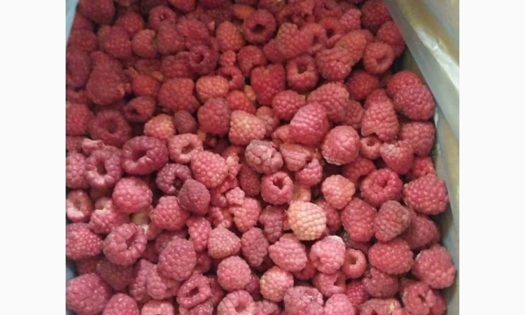 Куплю заморожену малину - фото № 1