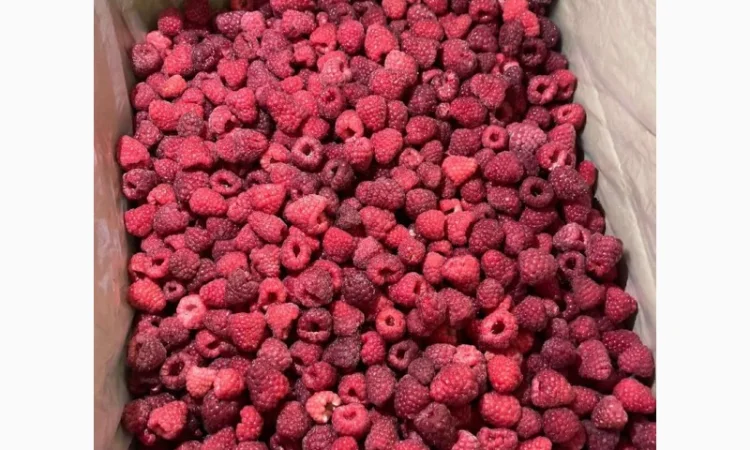 Продам малину оригінал - фото № 1