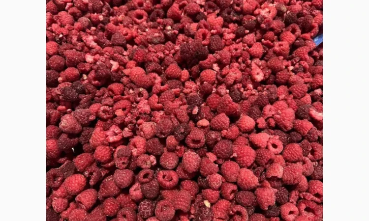 Продам !!!! Малину - фото № 1