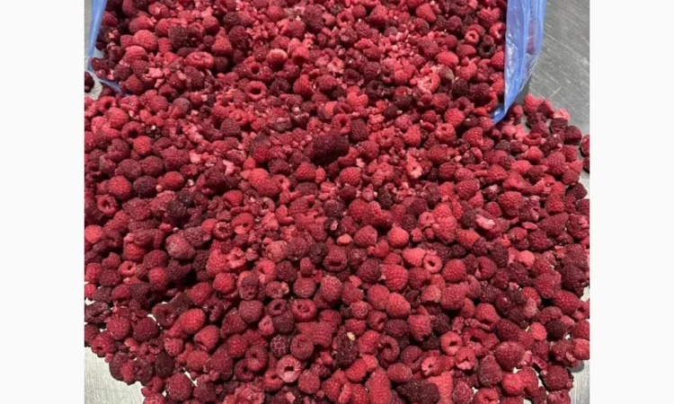 Продам !!!! Малину - фото № 2