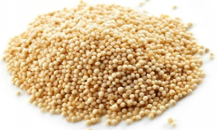 Крупа амарантова шліфована (продаж) 30кг - фото № 1