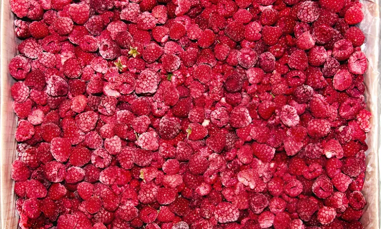 Куплю малину свіжу та заморожену - 90/10 - фото № 1