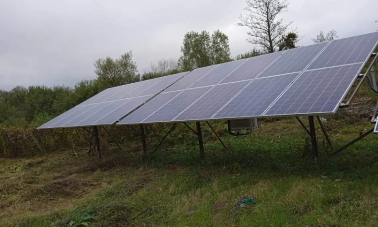 Продается готовый бизнес – плантация малины 2 га - фото № 16