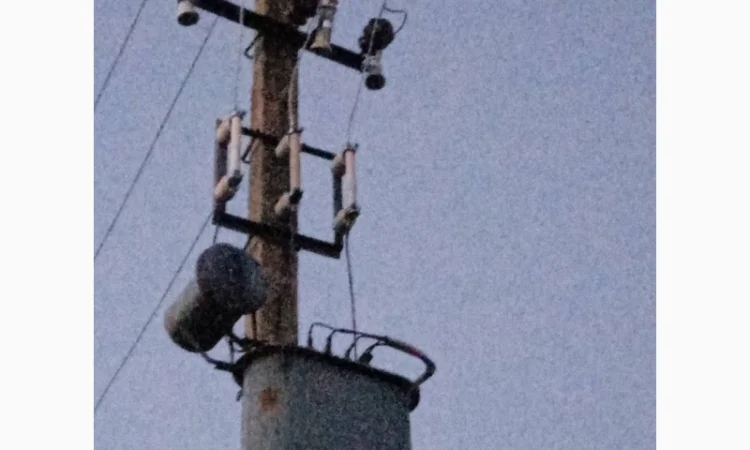 Продается готовый бизнес – плантация малины 2 га - фото № 9