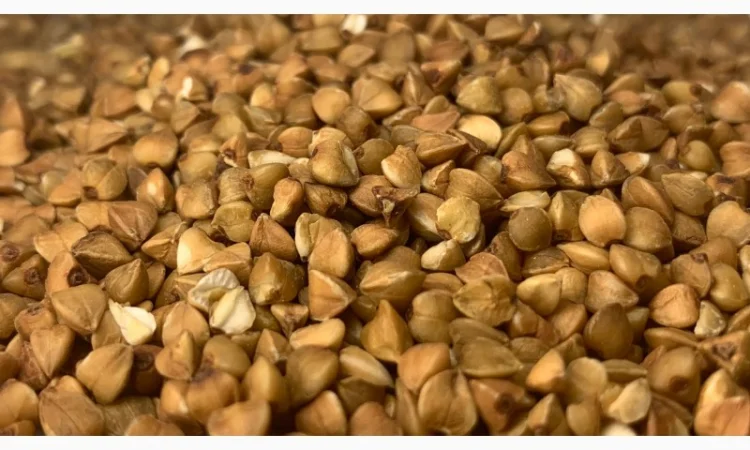 Продам крупу гречану смажену - фото № 1