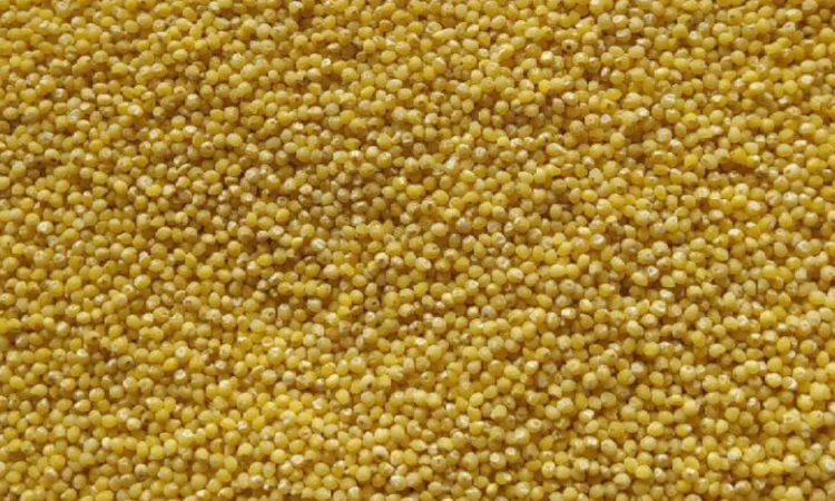 Продается пшено 25 кг - фото № 1