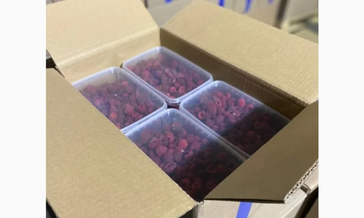 Продам Малину фасовка 380грамм - фото № 2