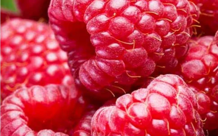 Куплю малину свежую для заморозки - фото № 1