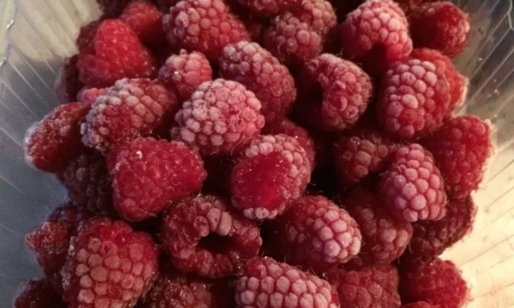 Продам малину заморожену - фото № 1