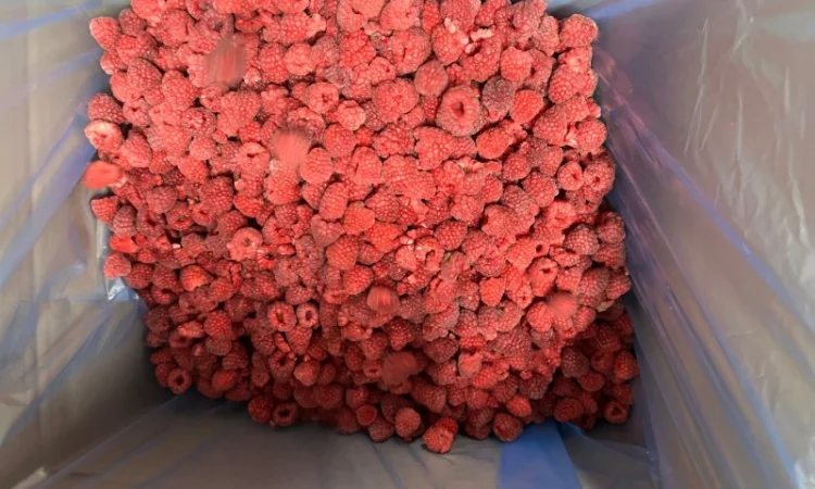 Продам заморожену : Малину (90/10 - фото № 3