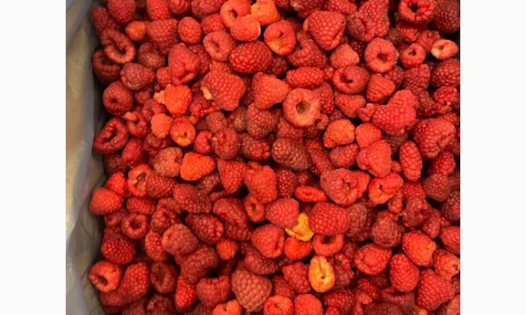 Продам Малину Заморожену - фото № 2