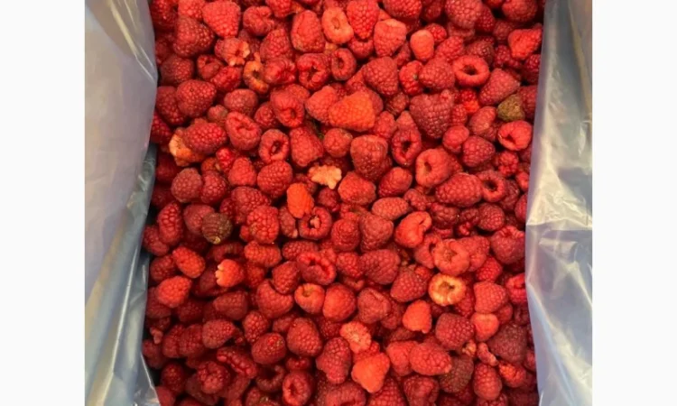 Продам Малину Заморожену - фото № 3