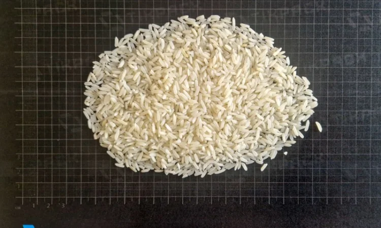 Рис довгозернистий (тільки оптом від 5 тонн) в мішках 25 кг - фото № 1