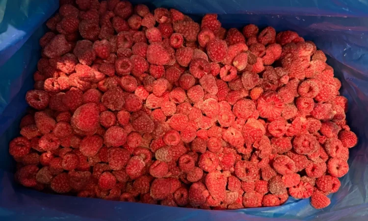 Куплю органічну малину - фото № 1