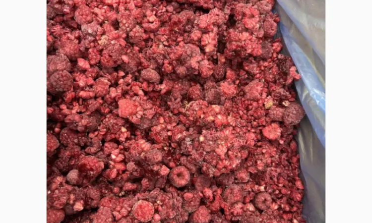 Малина замороженная Грис - фото № 3