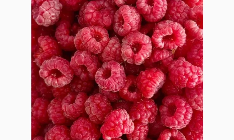 Купуємо заморожену малину оптом - фото № 1
